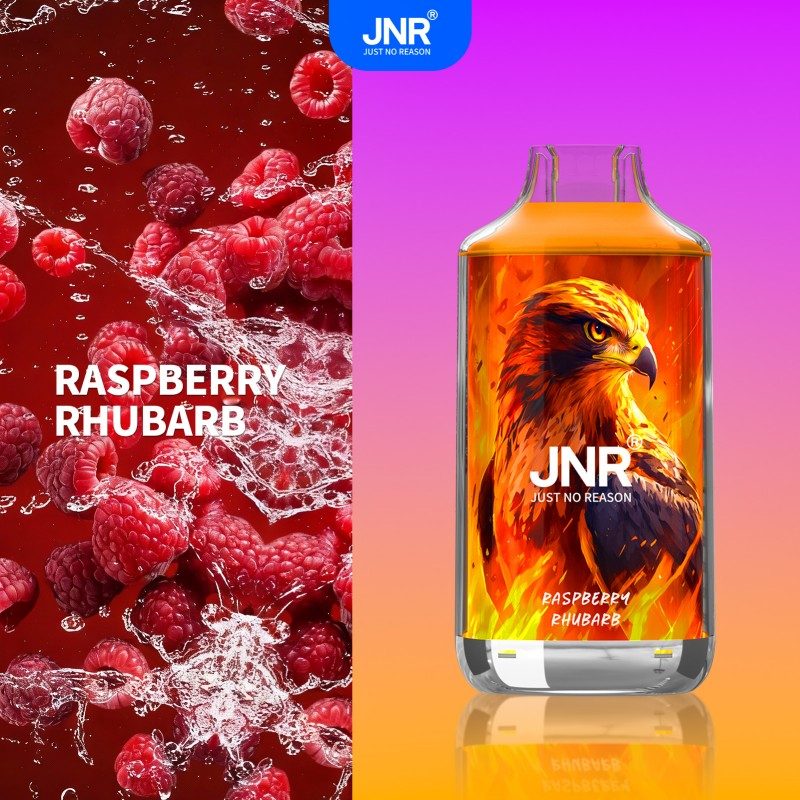 🔥 JNR Falcon 16K Jednorazowy Vape | 2% Nikotyny 💨 16,000 Puffów 🍓🥭🥝 | Szybka wysyłka z Polski 1-3 dni 🚚🇵🇱 | Amerykańska jakość 🇺🇸 | Nowi Klienci Hurtowi 💰🎉