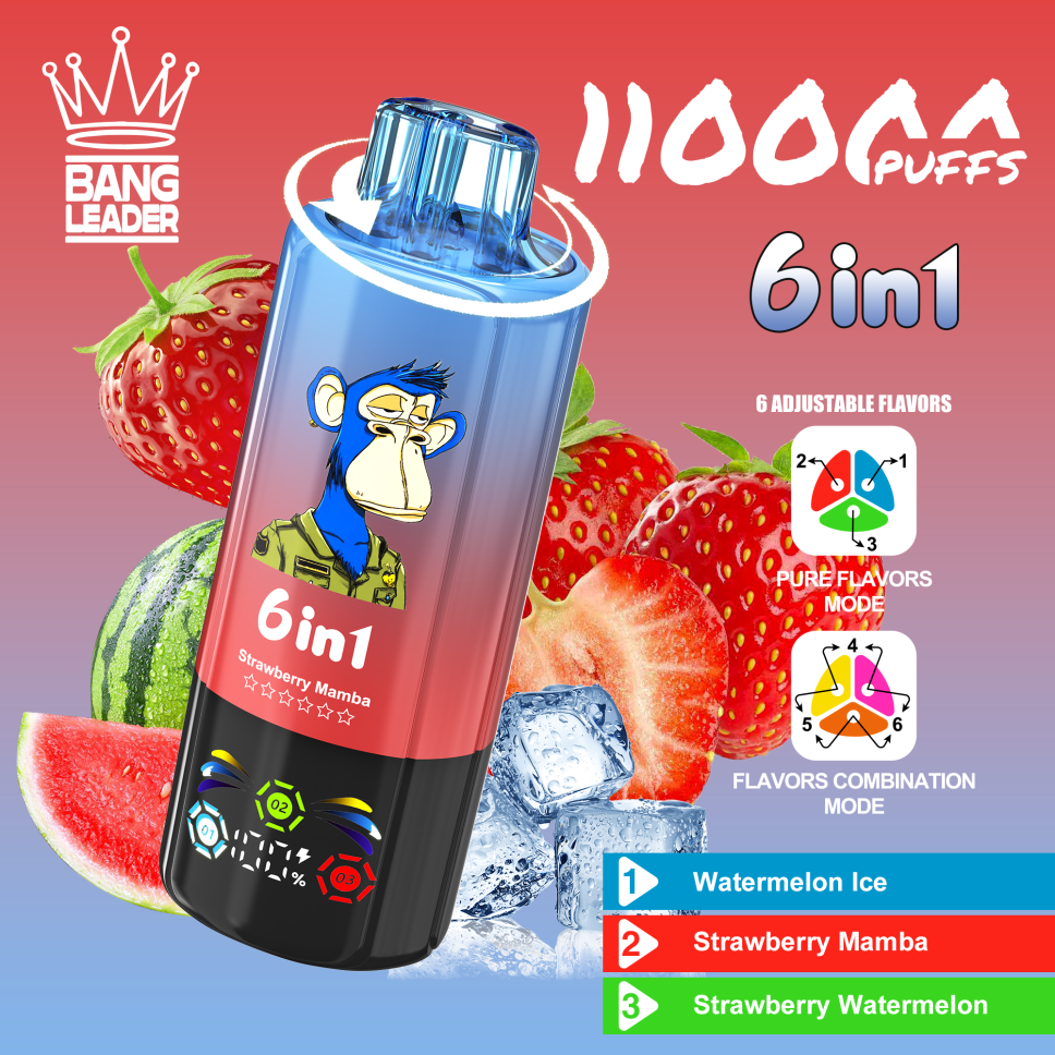 Bang Leader 110K Puffs 6-in-1 Prefilled Vape Device - 6 Flavours, Rechargeable, 850mAh