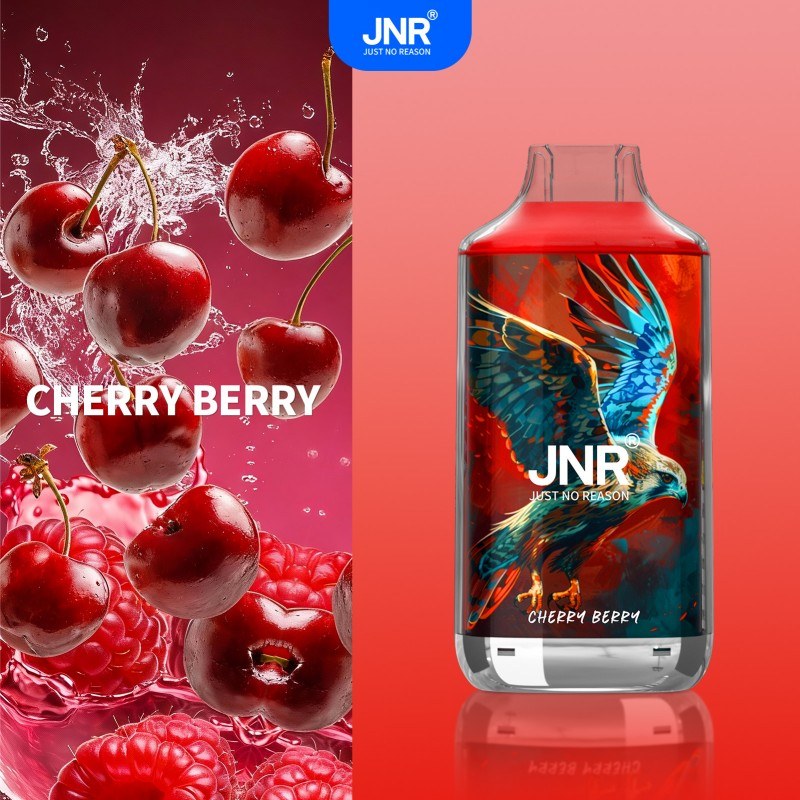 🔥 JNR Falcon 16K Jednorazowy Vape | 2% Nikotyny 💨 16,000 Puffów 🍓🥭🥝 | Szybka wysyłka z Polski 1-3 dni 🚚🇵🇱 | Amerykańska jakość 🇺🇸 | Nowi Klienci Hurtowi 💰🎉