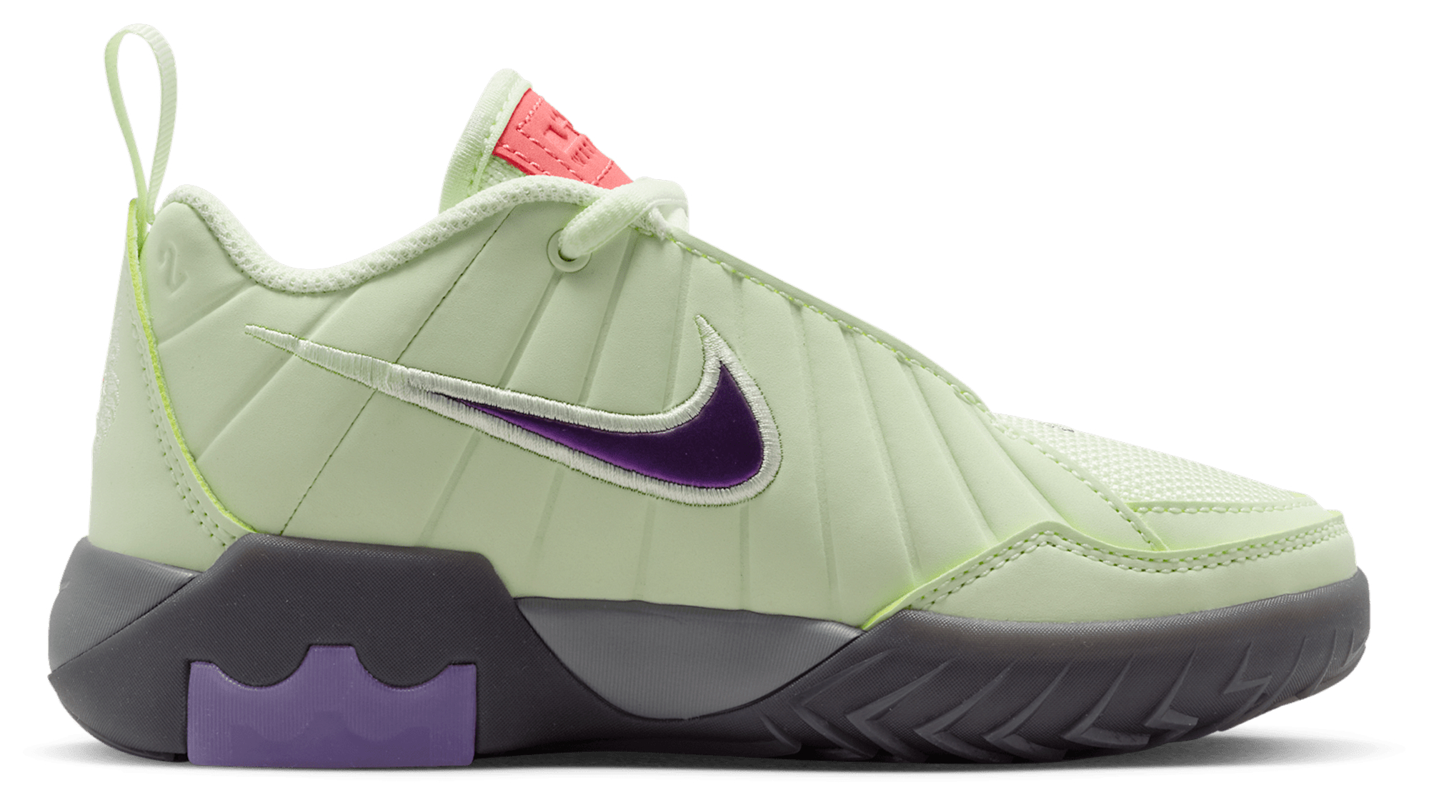 Nike Lebron Witness IX