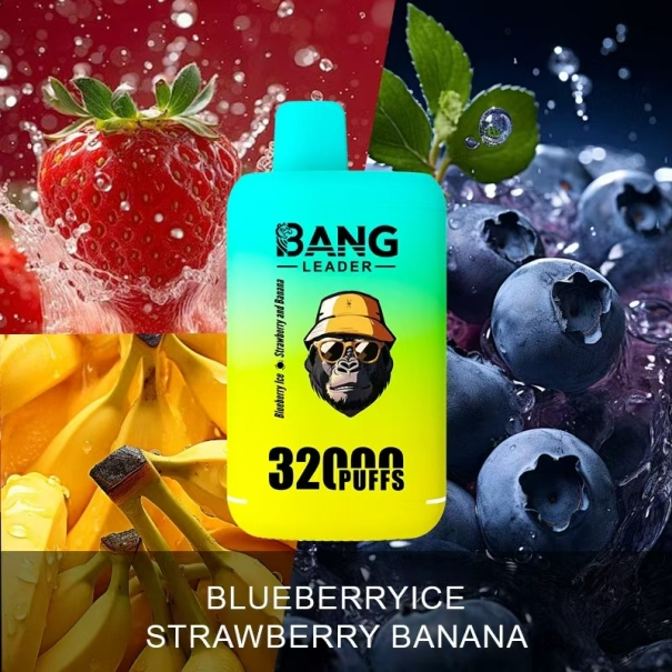 Bang Leader 32K Puffs 2-in-1 Prefilled Vape Device - Dual Flavour, Rechargeable, 650mAh, Dual Pods