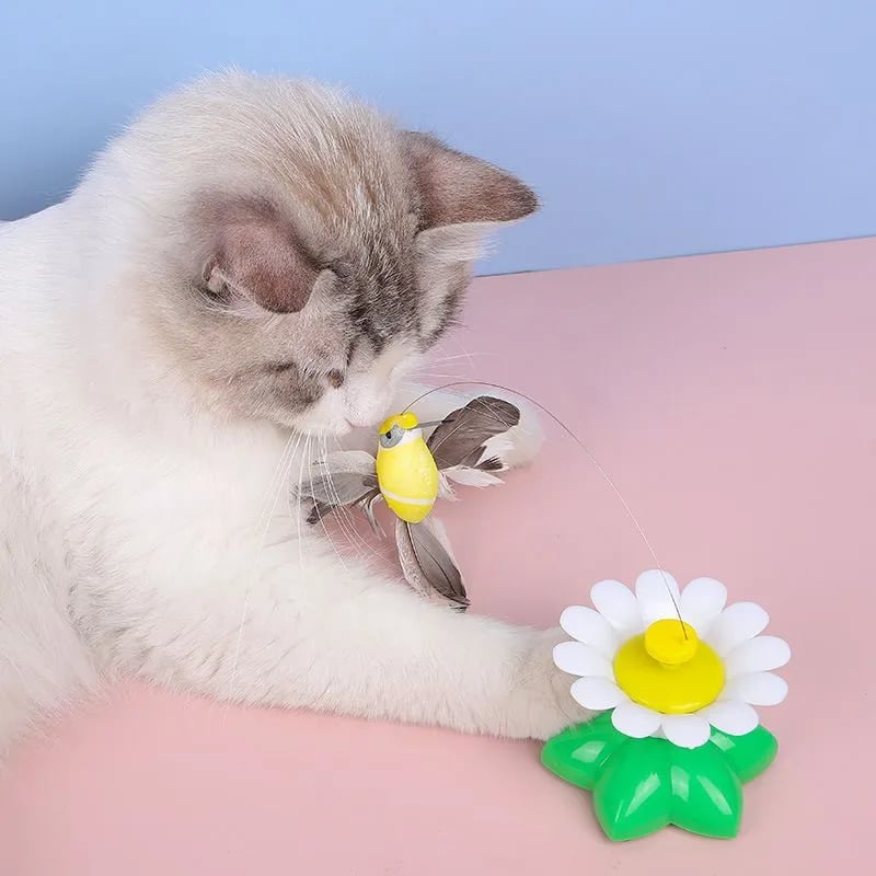 🔥2023 HOT SALE - Electric Bird Teasing Cat Toy