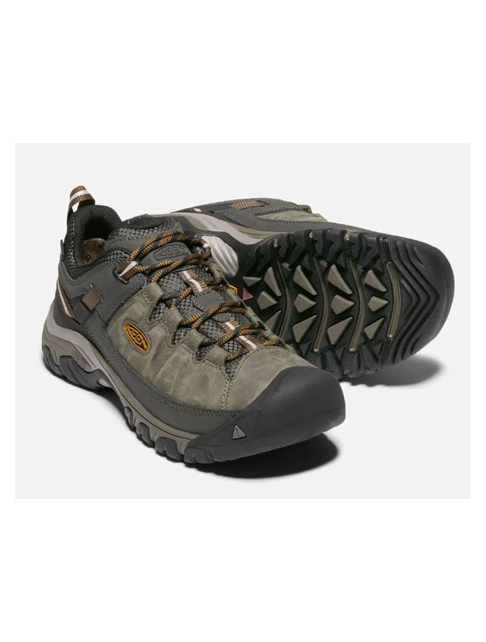 Men's Targhee III Low Leather Waterproof Shoe