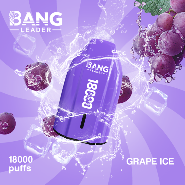 Bang Leader 18K Puffs Prefilled Vape Device - Rechargeable, 650mAh, Mesh Coil