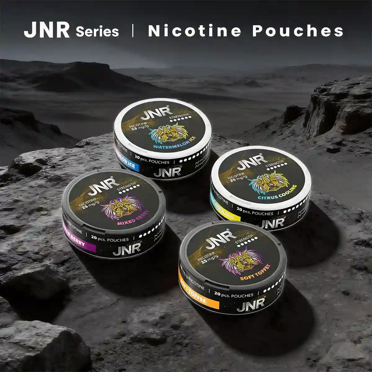 JNR Nicotine Pouches