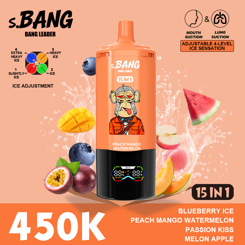 Bang Leader 450K Puffs 15-in-1 Prefilled Vape - 15 Flavours, Rechargeable