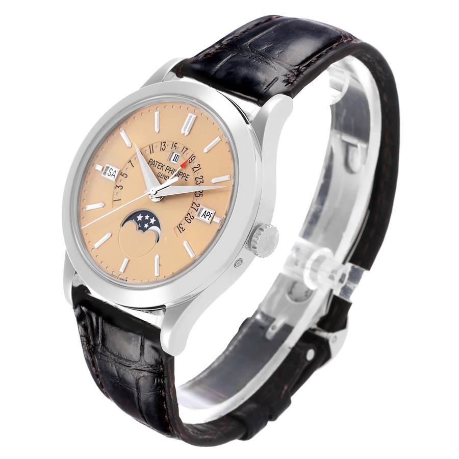 Patek Philippe Complications Perpetual Calendar Platinum Mens Watch 5496P Papers