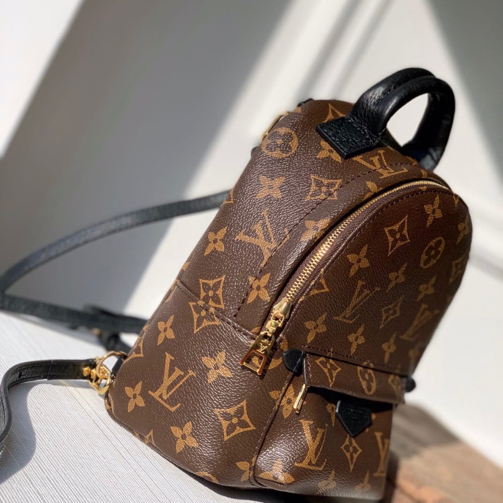 Louis Vuitton Palm Springs Mini Backpack Monogram Canvas 22cm M44873