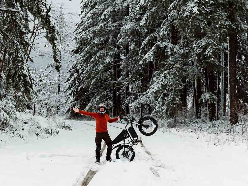 Freego S1 Cafe Racer eBike