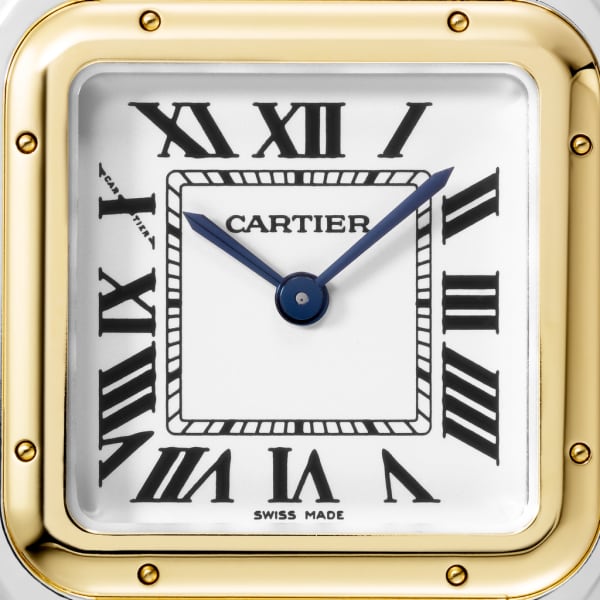 PANTHERE Gold Mix 37mm
