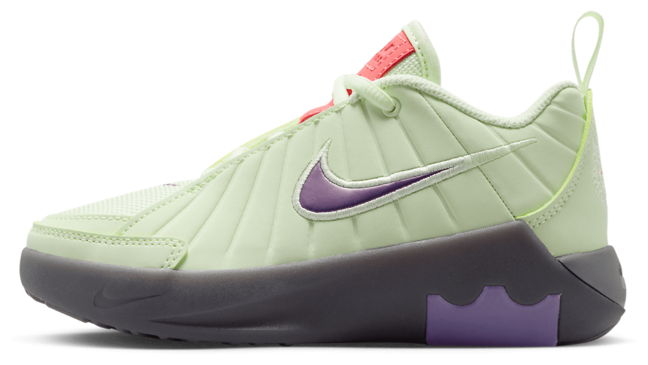 Nike Lebron Witness IX
