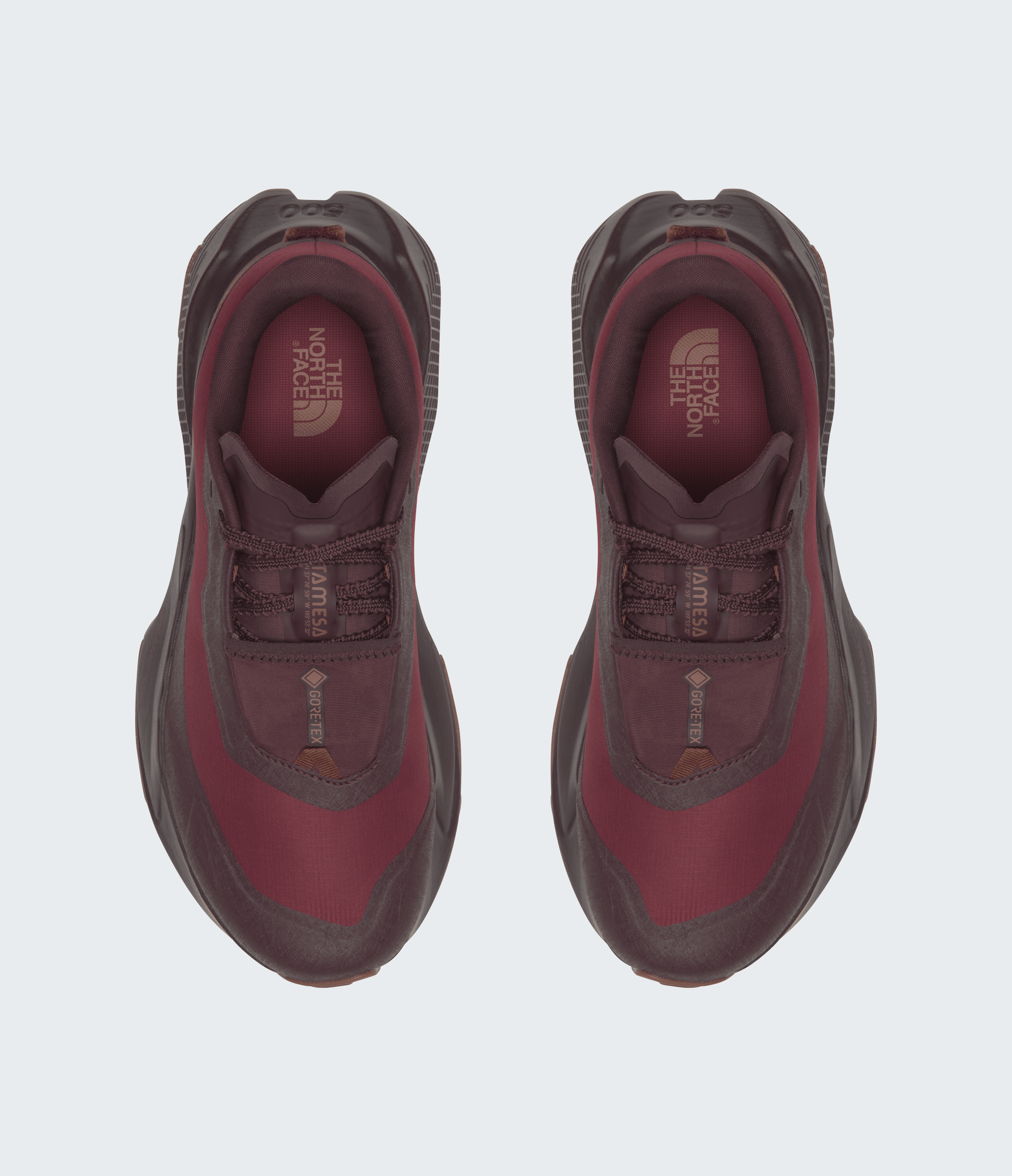 Women’s Altamesa 500 V2 GORE-TEX