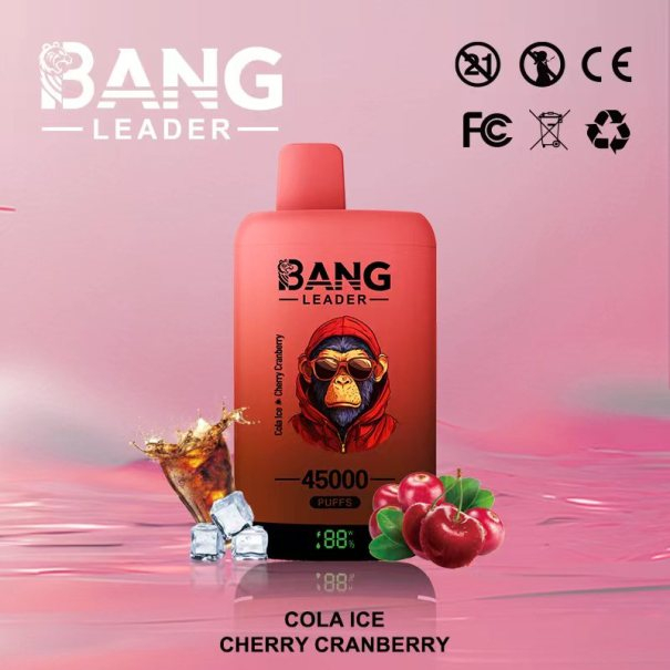 Bang Leader 45K Puffs 2-in-1 Prefilled Vape Device - Dual Flavour, Rechargeable, 650mAh