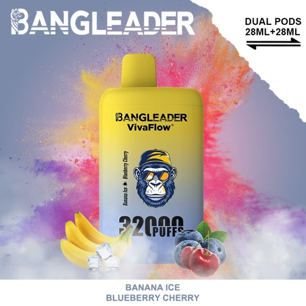 Bang Leader 32K Puffs 2-in-1 Prefilled Vape Device - Dual Flavour, Rechargeable, 650mAh, Dual Pods