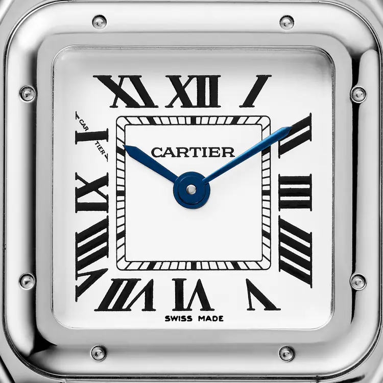 PANTH&Egrave;RE 37mm