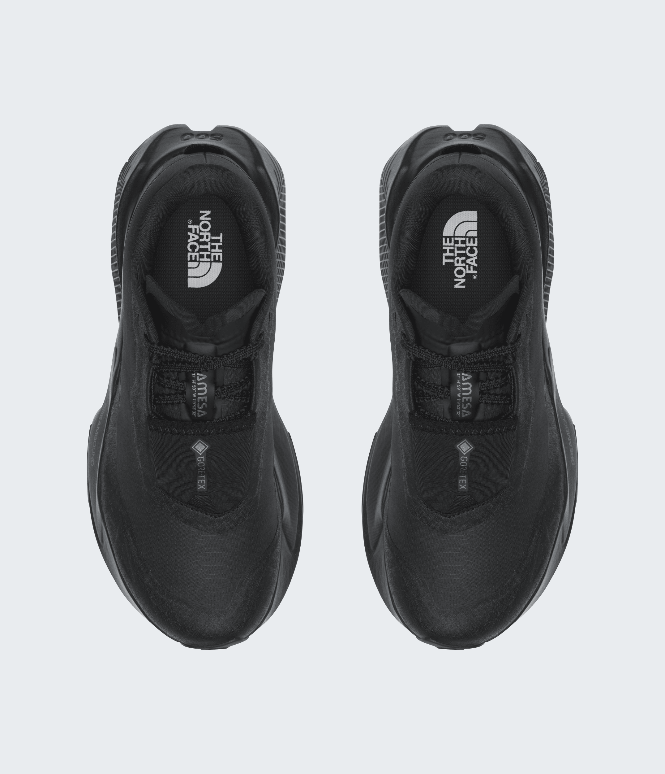 Women’s Altamesa 500 V2 GORE-TEX