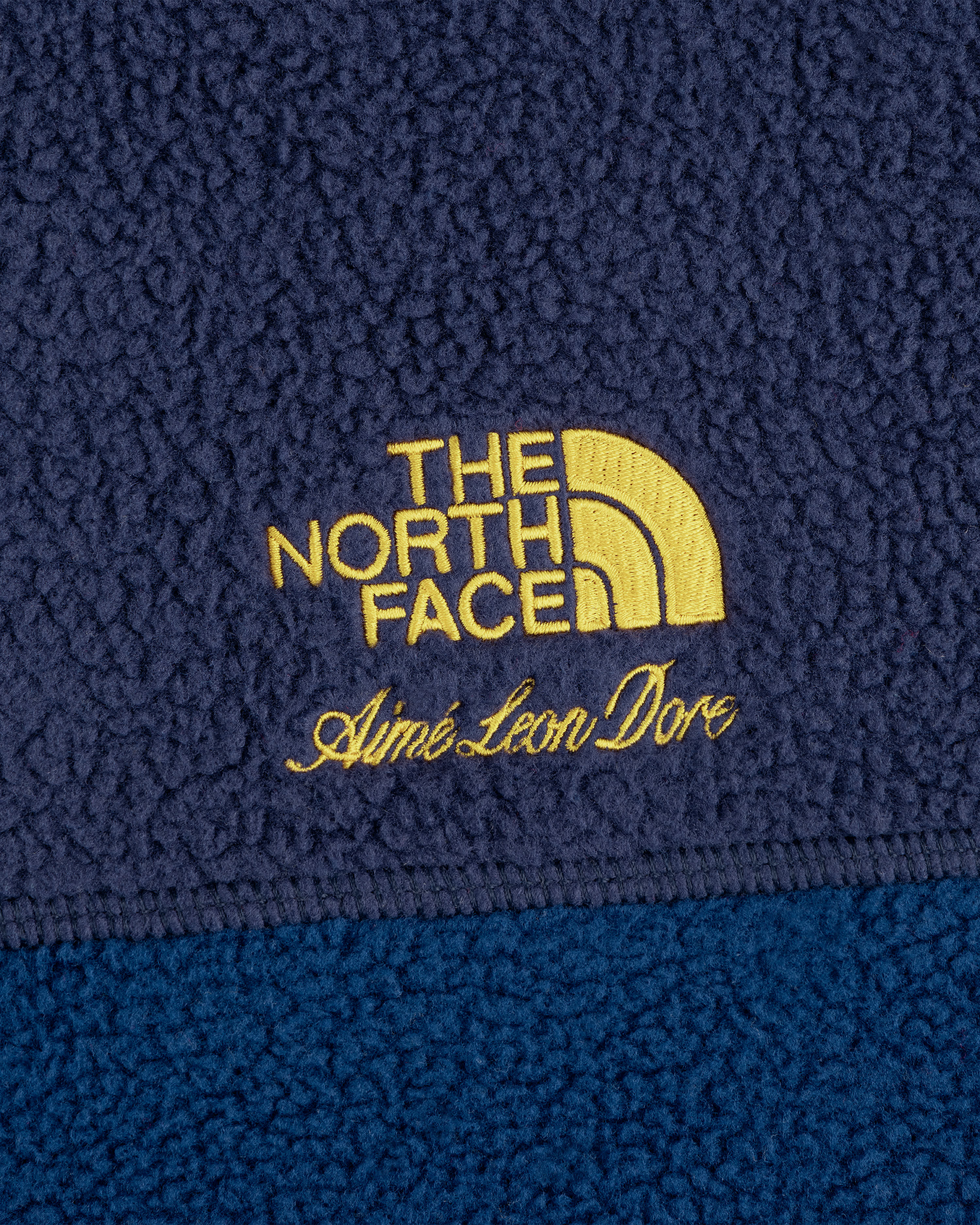 TNF™ X Aimé Leon Dore '95 Denali Half-Zip Fleece Pullover