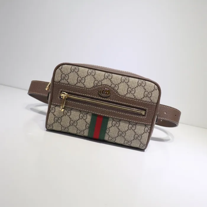 Gucci GG  Ophidia Belt Bag