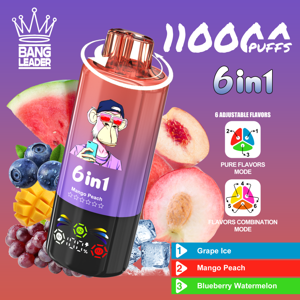 Bang Leader 110K Puffs 6-in-1 Prefilled Vape Device - 6 Flavours, Rechargeable, 850mAh