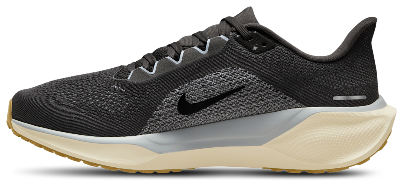 Nike Air Zoom Pegasus 41