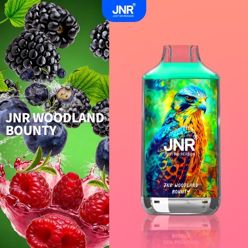 🔥 JNR Falcon 16K Jednorazowy Vape | 2% Nikotyny 💨 16,000 Puffów 🍓🥭🥝 | Szybka wysyłka z Polski 1-3 dni 🚚🇵🇱 | Amerykańska jakość 🇺🇸 | Nowi Klienci Hurtowi 💰🎉