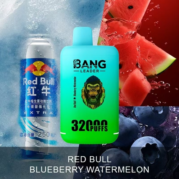 Bang Leader 32K Puffs 2-in-1 Prefilled Vape Device - Dual Flavour, Rechargeable, 650mAh, Dual Pods