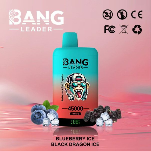 Bang Leader 45K Puffs 2-in-1 Prefilled Vape Device - Dual Flavour, Rechargeable, 650mAh