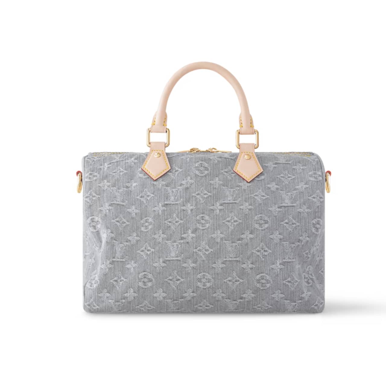 Louis Vuitton Speedy Soft 30 Washed Gray 30Cm M13344