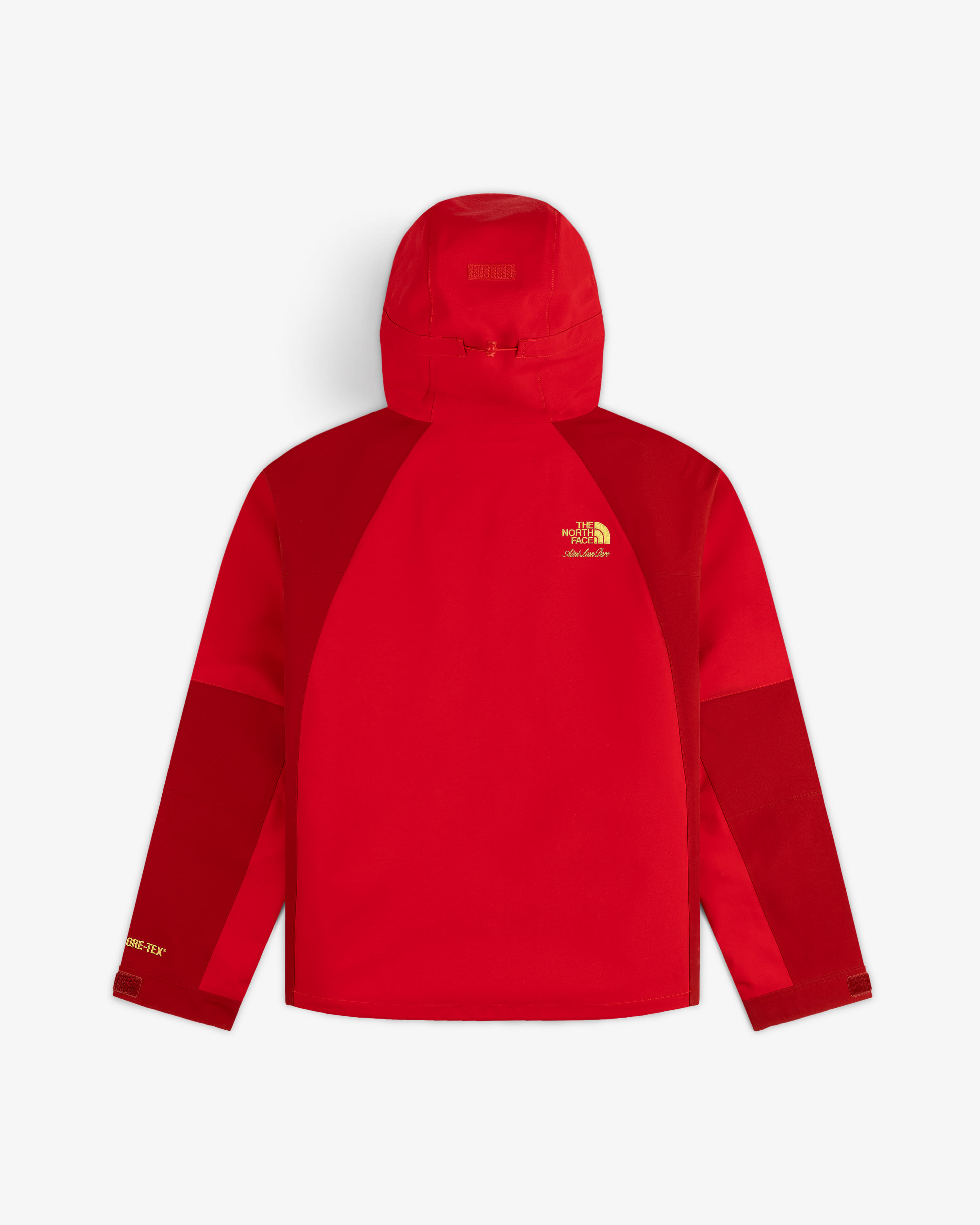 TNF™ X Aimé Leon Dore GORE-TEX® 2000 Mountain Jacket