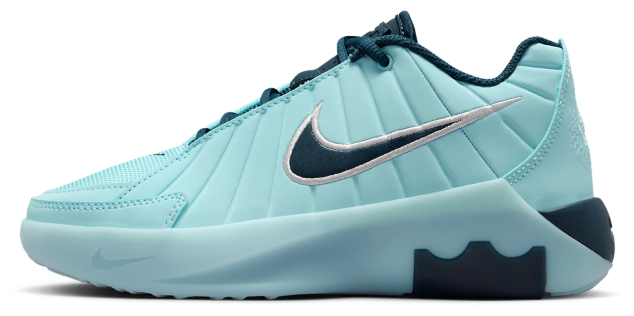 Nike Lebron Witness IX