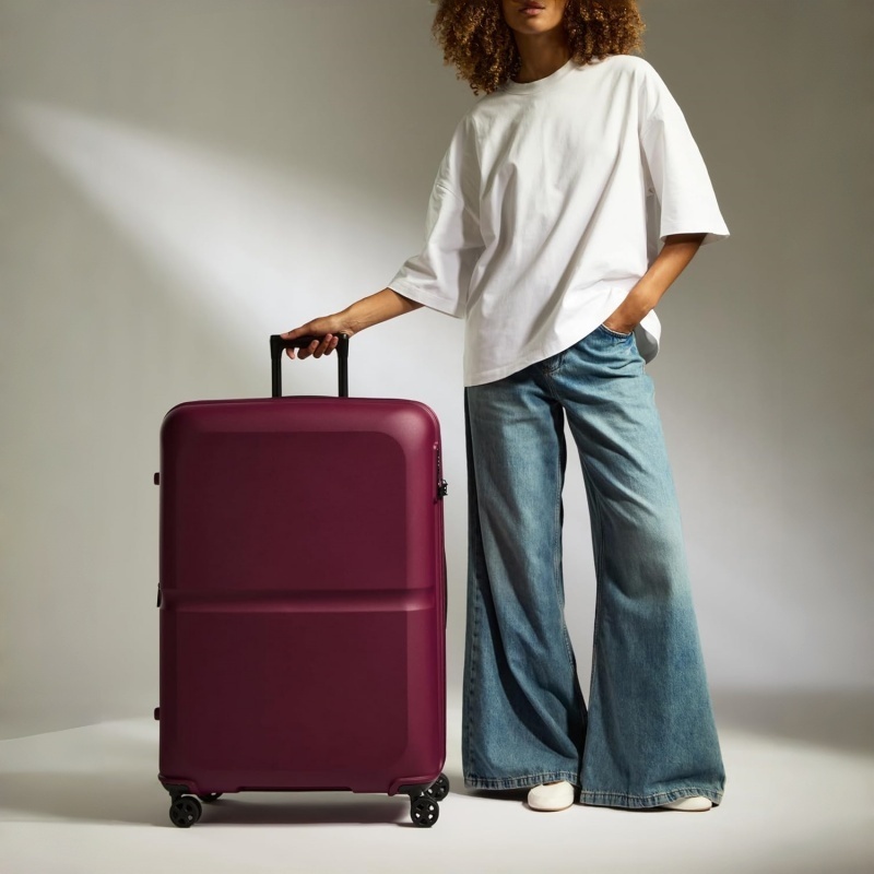 NOVELUX ingle Stripe Hardside Luggage 21