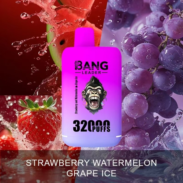 Bang Leader 32K Puffs 2-in-1 Prefilled Vape Device - Dual Flavour, Rechargeable, 650mAh, Dual Pods