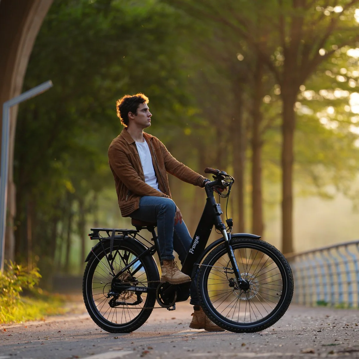 Freego City Flow A1 eBike