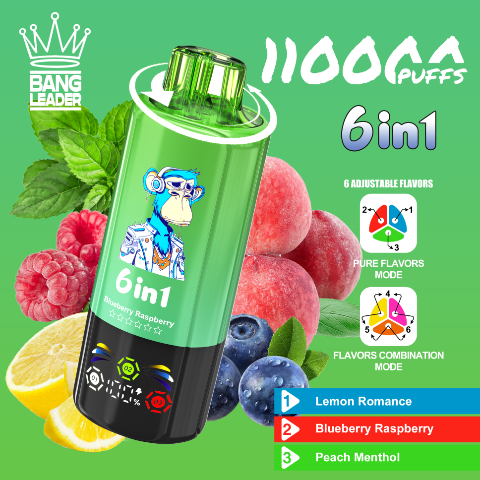 Bang Leader 110K Puffs 6-in-1 Prefilled Vape Device - 6 Flavours, Rechargeable, 850mAh