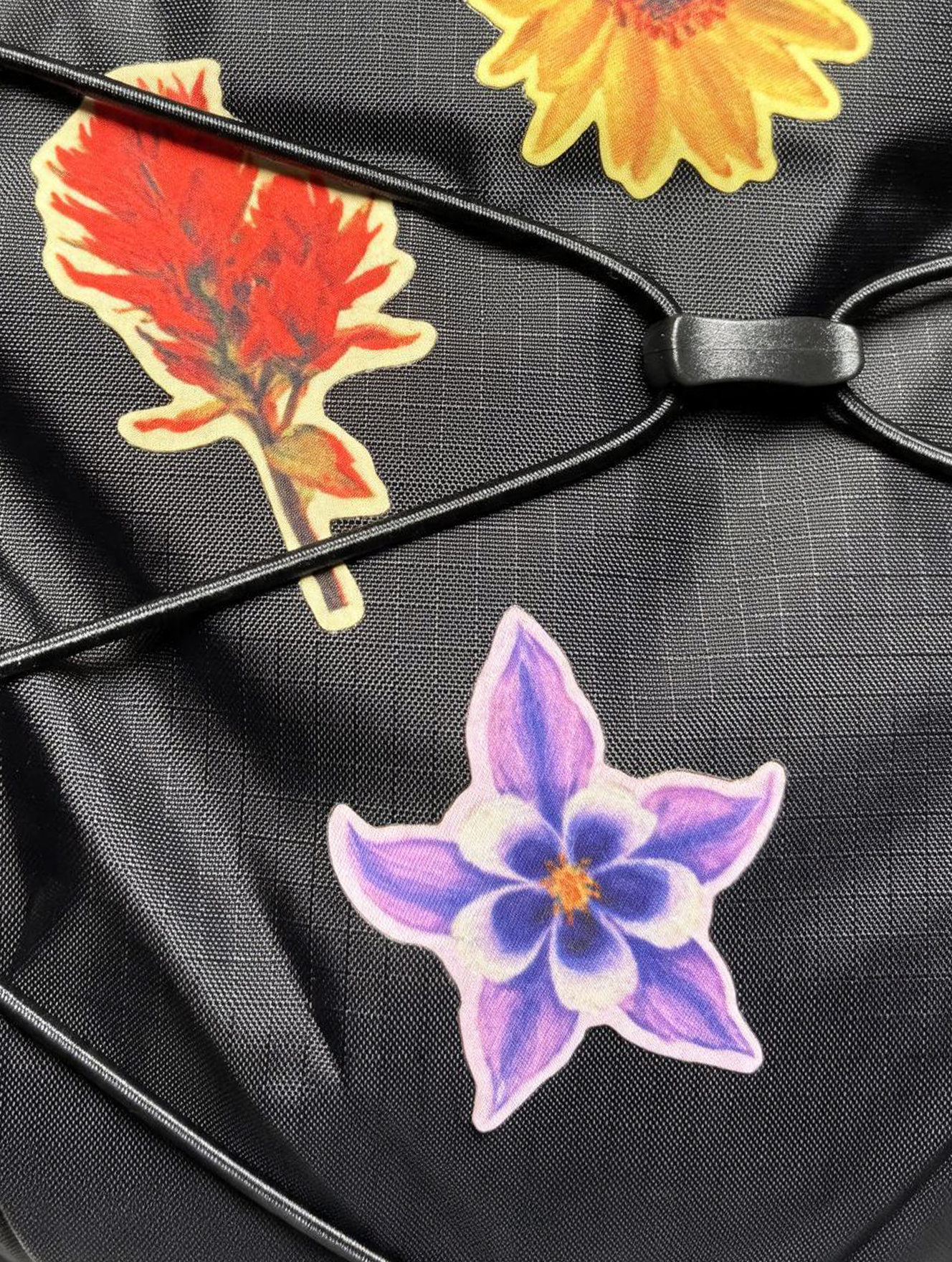 Floral Patch