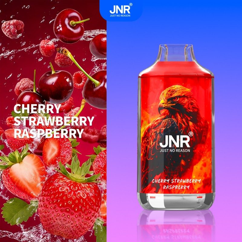 🔥 JNR Falcon 16K Jednorazowy Vape | 2% Nikotyny 💨 16,000 Puffów 🍓🥭🥝 | Szybka wysyłka z Polski 1-3 dni 🚚🇵🇱 | Amerykańska jakość 🇺🇸 | Nowi Klienci Hurtowi 💰🎉