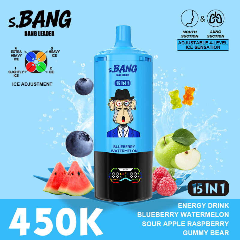 Bang Leader 450K Puffs 15-in-1 Prefilled Vape - 15 Flavours, Rechargeable