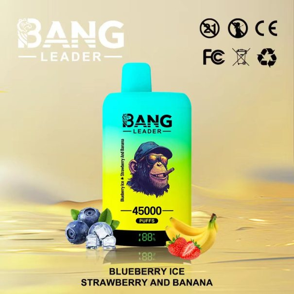 Bang Leader 45K Puffs 2-in-1 Prefilled Vape Device - Dual Flavour, Rechargeable, 650mAh