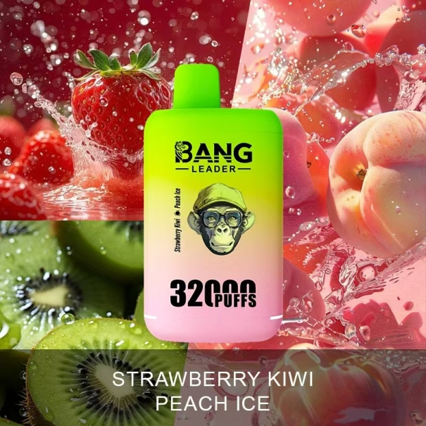 Bang Leader 32K Puffs 2-in-1 Prefilled Vape Device - Dual Flavour, Rechargeable, 650mAh, Dual Pods