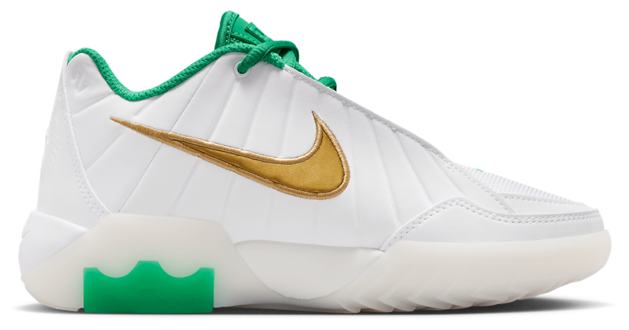 Nike Lebron Witness IX