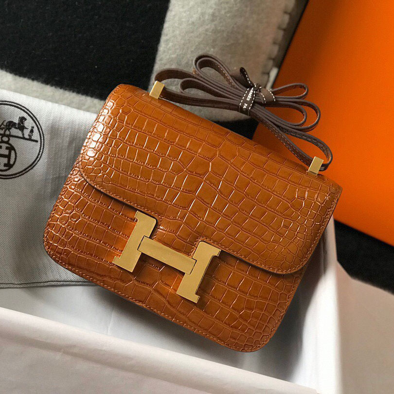 Hermès Mini Constance 19 Shiny Alligator Palladium Hardware Gold 19Cm