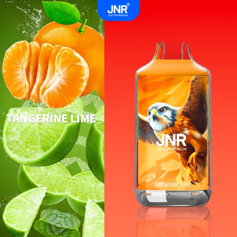 🔥 JNR Falcon 16K Jednorazowy Vape | 2% Nikotyny 💨 16,000 Puffów 🍓🥭🥝 | Szybka wysyłka z Polski 1-3 dni 🚚🇵🇱 | Amerykańska jakość 🇺🇸 | Nowi Klienci Hurtowi 💰🎉