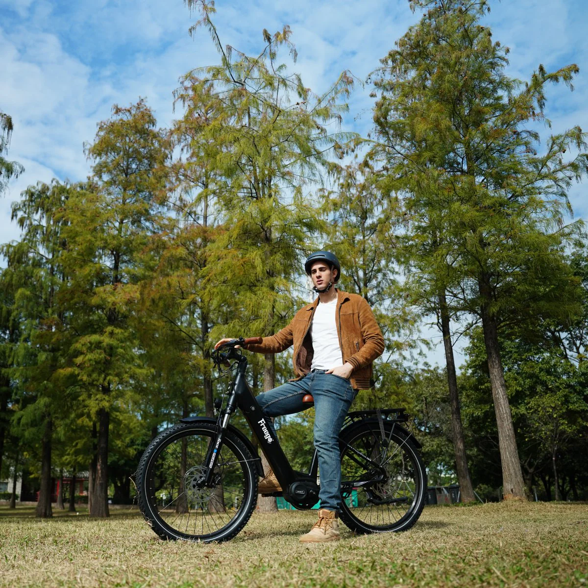 Freego City Flow A1 eBike