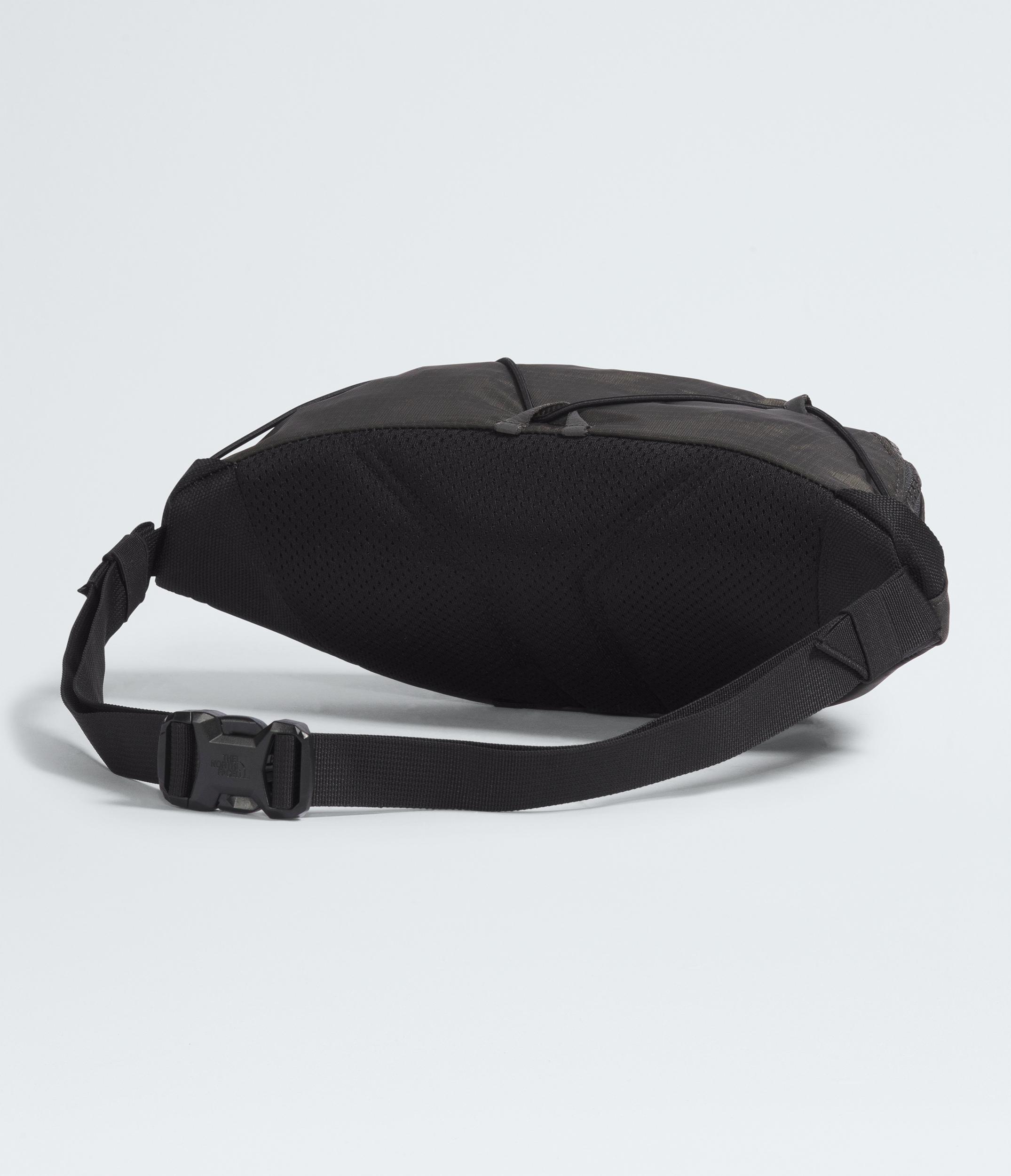 Terra Lumbar—3L