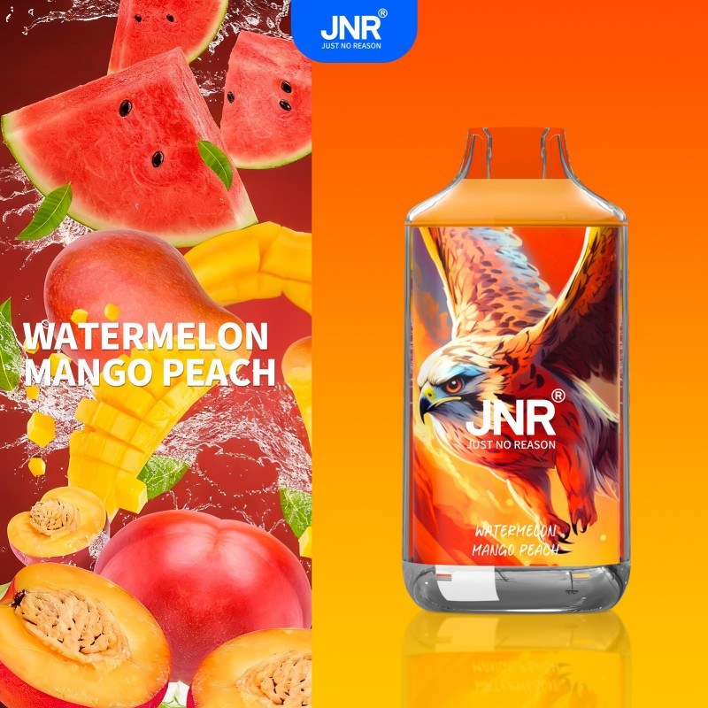 🔥 JNR Falcon 16K Jednorazowy Vape | 2% Nikotyny 💨 16,000 Puffów 🍓🥭🥝 | Szybka wysyłka z Polski 1-3 dni 🚚🇵🇱 | Amerykańska jakość 🇺🇸 | Nowi Klienci Hurtowi 💰🎉