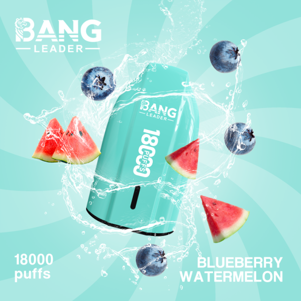 Bang Leader 18K Puffs Prefilled Vape Device - Rechargeable, 650mAh, Mesh Coil