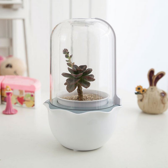 Mini Indoor Succulent Grow Planter