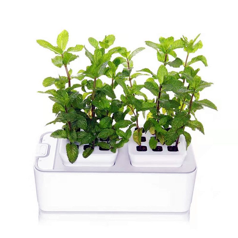 Self-Watering Indoor Herb Planter