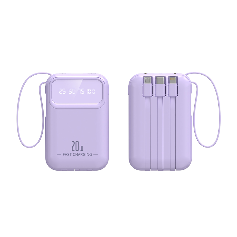 Comes with a Built-in Mini Fast Charging Large Capacity Mobile Power Bank