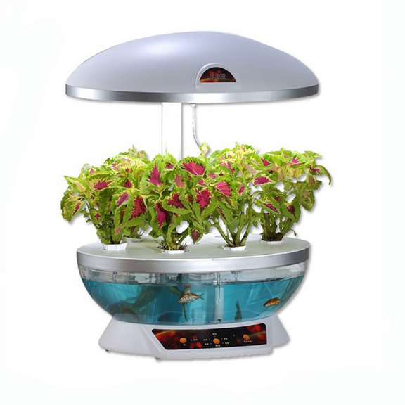 Automatic Indoor Hydroponic Garden